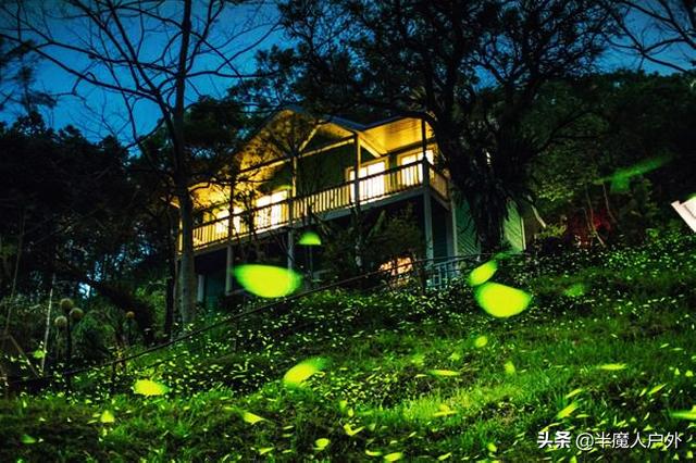 长沙植物园萤火虫，夏天最能邂逅萤火虫的美好目的地