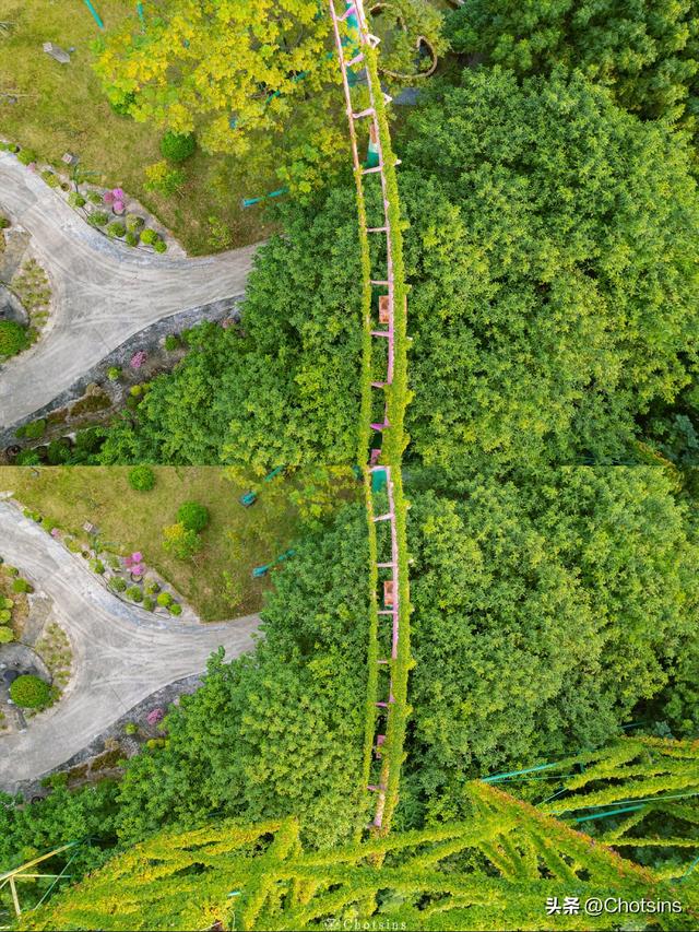 一个亚洲最大的木质过山车，被爬藤覆盖的废弃过山车