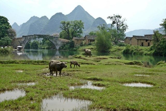 去桂林旅游的正确方法是什么，桂林旅游自由行超全攻略