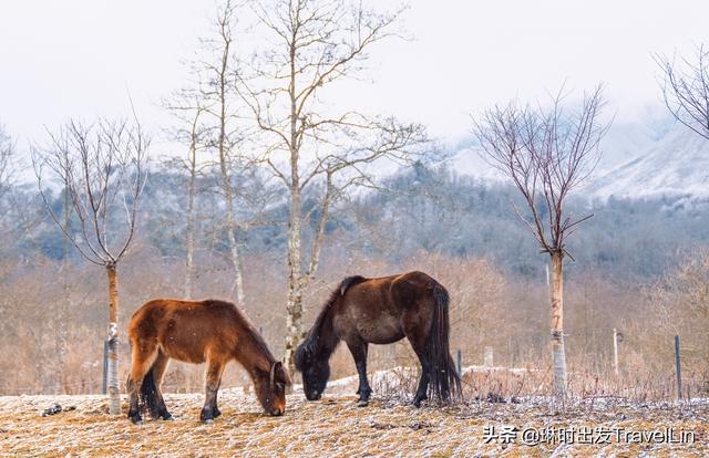 泸沽湖里格岛住宿推荐，位于川西的小瑞士