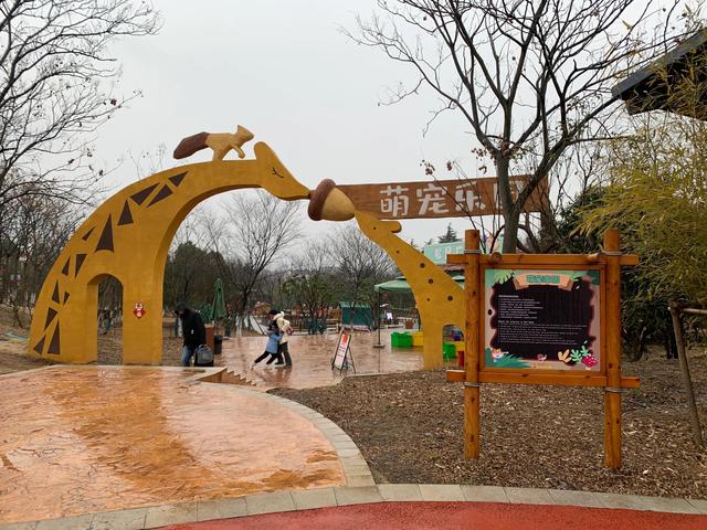 南京冬天哪里好玩，冬季南京遛娃必去景点