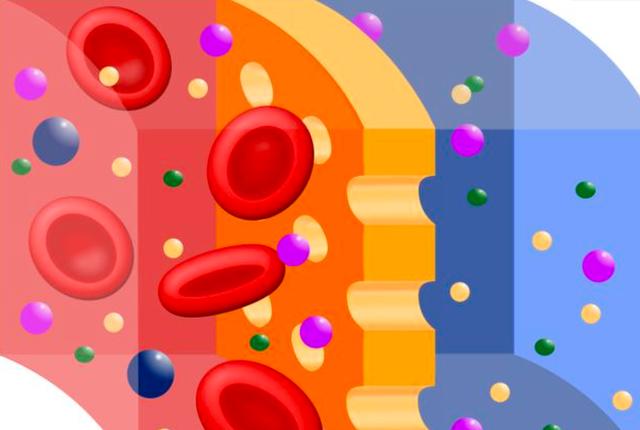 海水淡化的科学原理和方法流程，过程不到10分钟