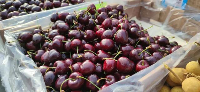 年货大集门头，年货大集一网打尽