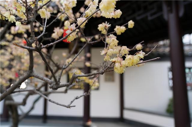 淮安哪个区最繁华，江苏淮安最值得去的地方