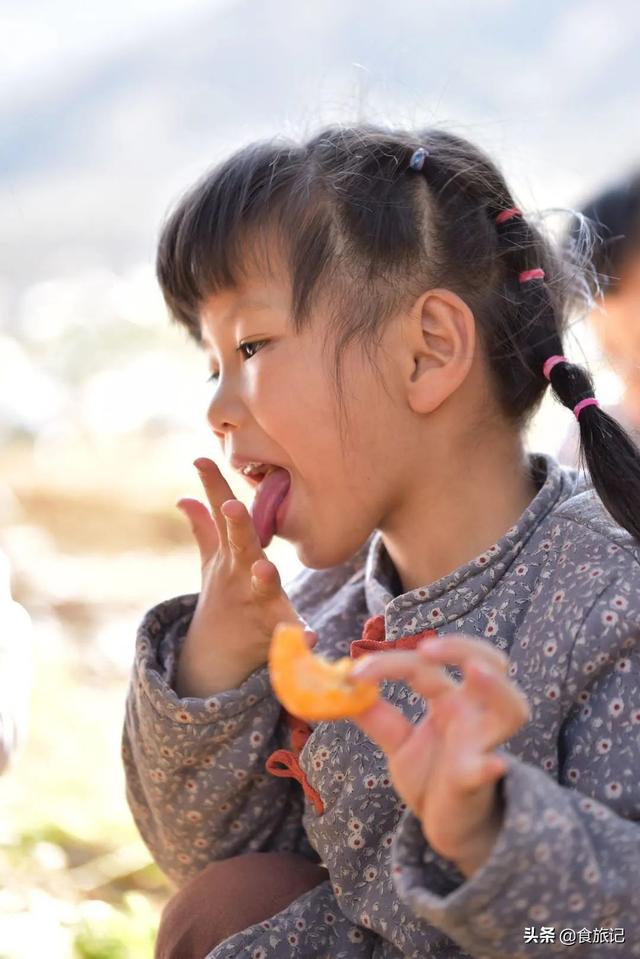 同样是大五星枇杷，四川米易枇杷几月成熟