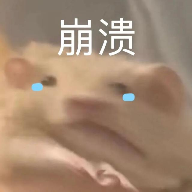 小仓鼠动态迷你表情包，变形脸仓鼠可爱老鼠