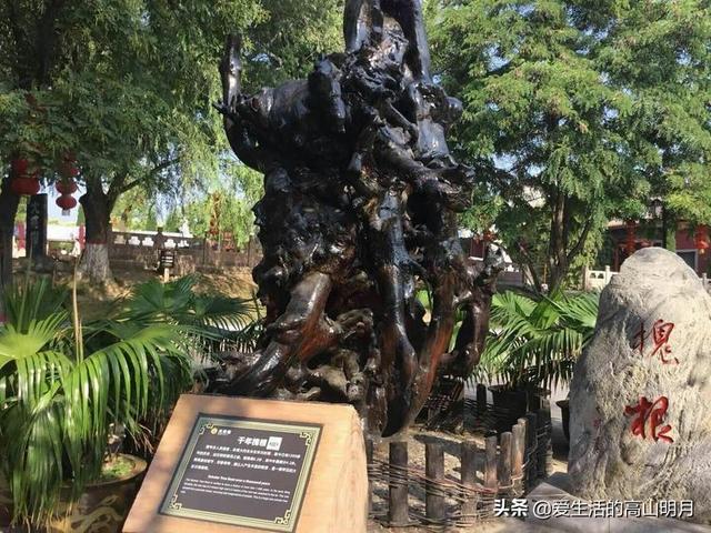 洪洞县大槐树景区，洪洞大槐树旅游攻略
