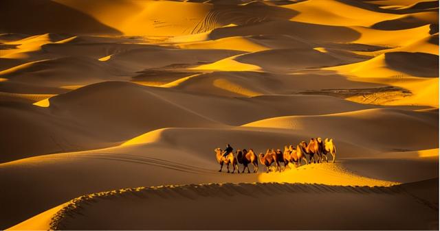 乌兰布和沙漠是我国几大沙漠之一，中国八大沙漠之一乌兰布和治理背后隐忧