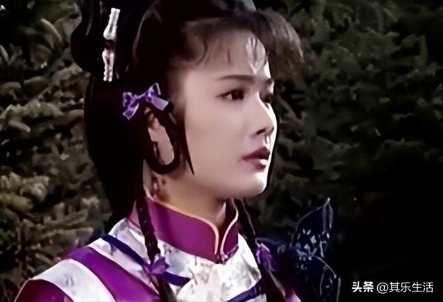 雍正年羹尧武打，雍正小蝶年羹尧播出24年