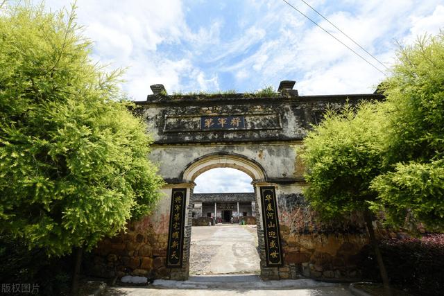 门前栽什么树最好，门前种什么树最旺宅（门前种上“5棵树”）