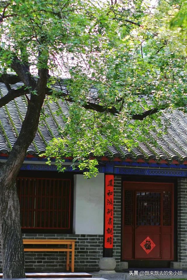 山东曲阜旅游攻略，山东曲阜旅游攻略一日游最佳路线（山东篇<三>曲阜旅游攻略）