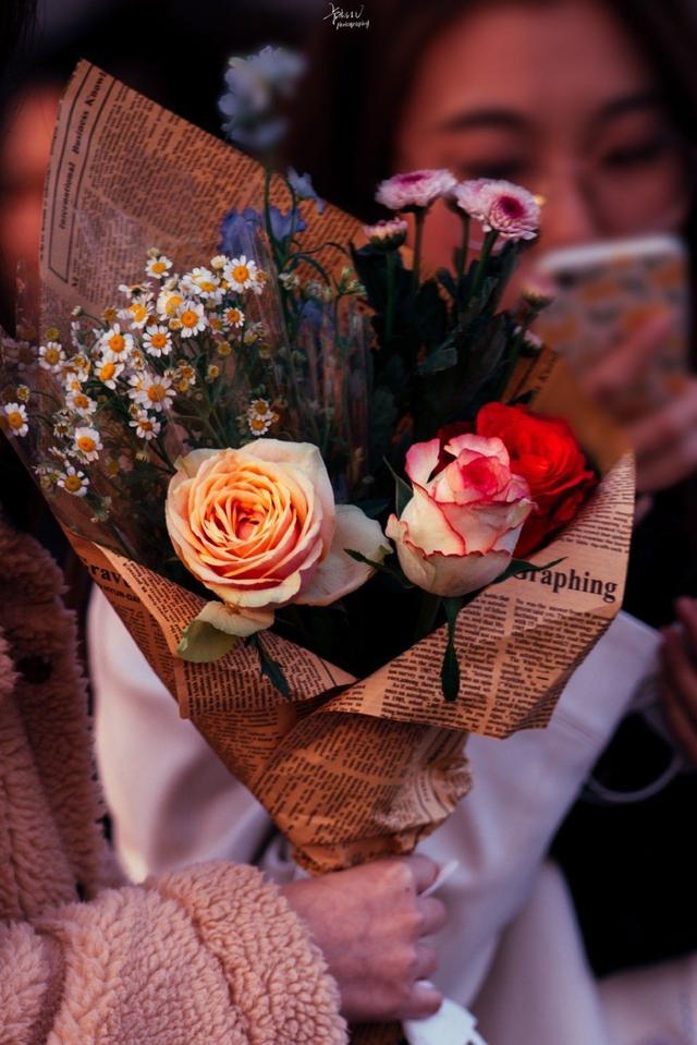 关于玫瑰的文案，玫瑰的唯美文案（有关玫瑰高级又浪漫的文案）