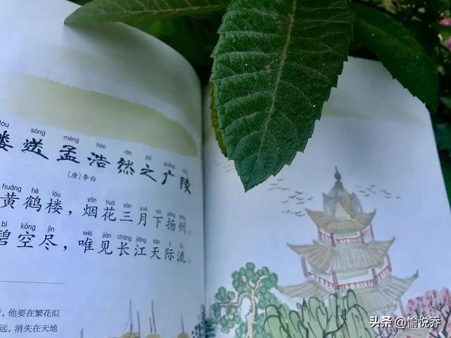 幼儿启蒙唐诗100首，幼儿必背五言古诗100首（小宝宝每天念一念）