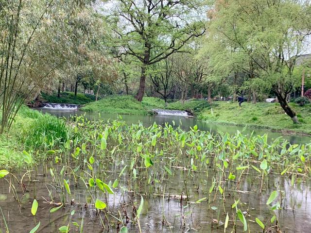 杭州西湖之白堤，“白堤”名出白居易