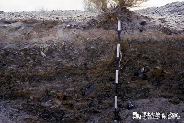 我国的土壤分类有哪些，中国15种主要土壤类型和具体分布地区