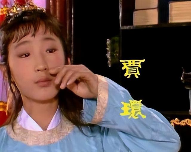  红楼梦贾环结局解析，红楼梦：贾府陷入衰败后