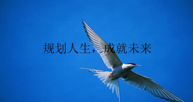 毕业生迎来史上最难就业季，选择慢就业的人多了起来