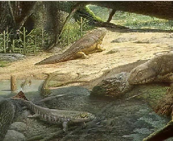 人类的进化史到底是什么样的，人类进化史上有13万年的空白,过程中发生了什么