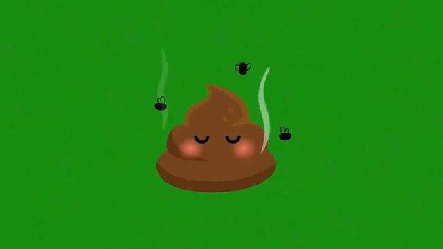 博美犬有哪些常见的病症，博美天生易患这5种疾病