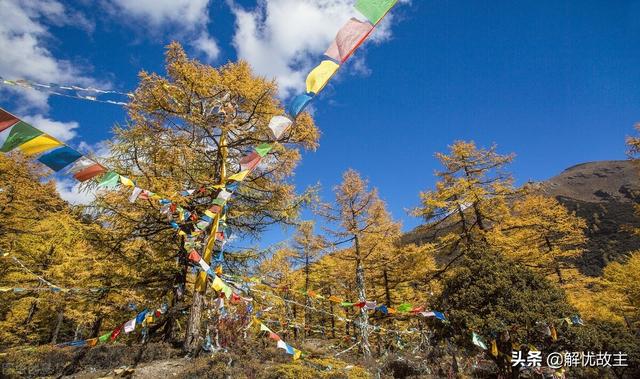 四川最好的草原花海，四川这地有块红草地