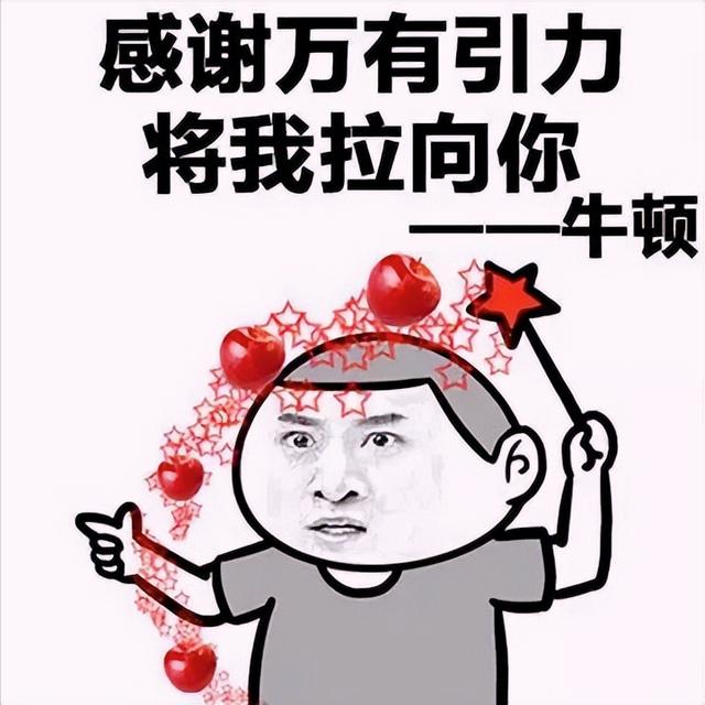 红富士苹果产地在哪里，第一个敢向我国大量出口红富士苹果的国家（红富士苹果是哪里引进的）