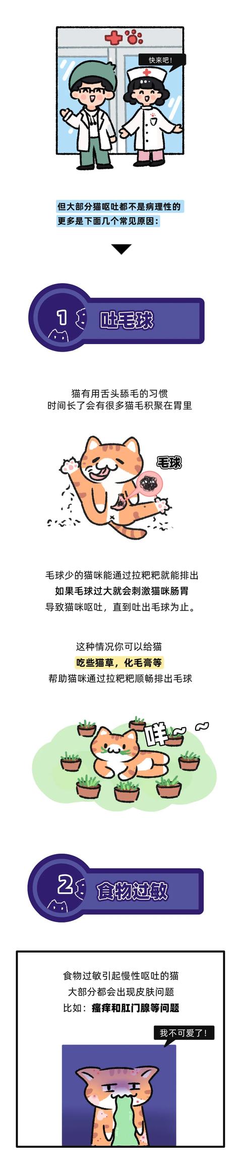 小猫咪经常呕吐怎么回事，小猫咪呕吐了背后真相曝光