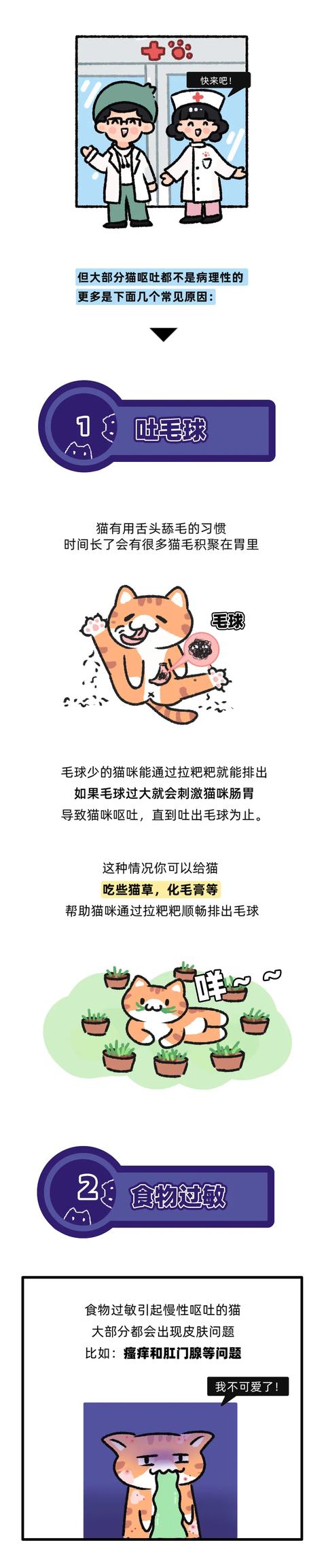 小猫咪经常呕吐怎么回事，小猫咪呕吐了背后真相曝光