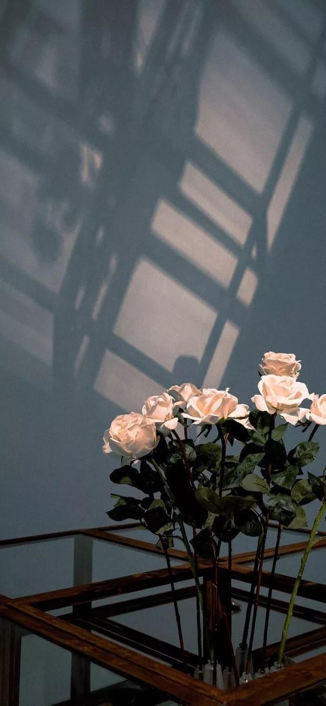 关于玫瑰的文案，玫瑰的唯美文案（有关玫瑰高级又浪漫的文案）