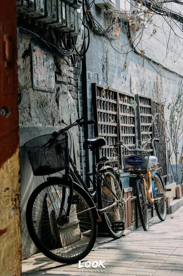 北京周末好去处市区，周末打卡好去处-白塔寺