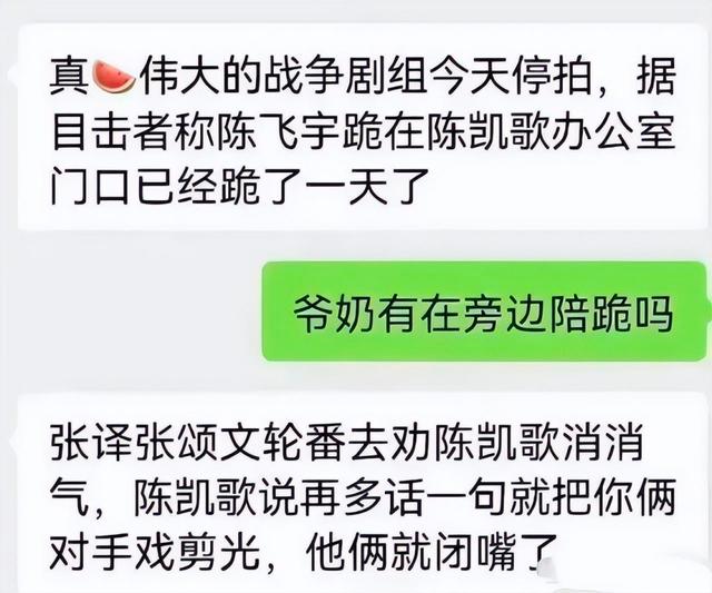 陈雨昂和陈飞宇的区别，同样是陈凯歌的儿子