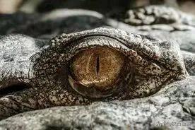 检察官是干什么的，检察官到底是干什么的