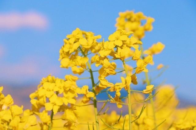 人生悟道50句语录，值得细细品悟的人生格言