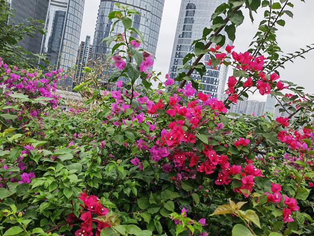 重庆矿山公园旅游攻略，废弃矿山蝶变生态公园