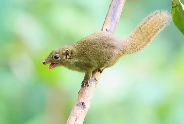 人类的进化史到底是什么样的，人类进化史上有13万年的空白,过程中发生了什么
