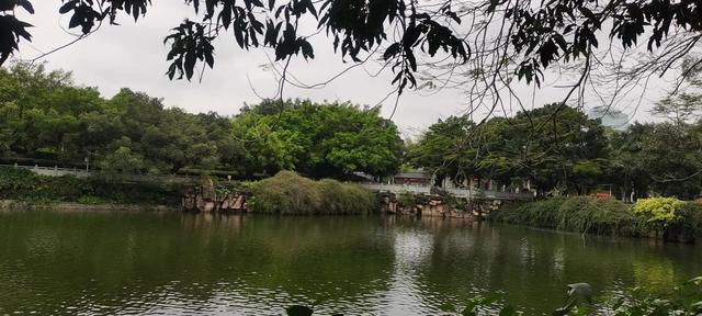 夏诗词飞花令，学生时代必背古诗词大全