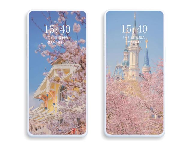 迪士尼手机壁纸，迪士尼夜晚梦幻城堡高清手机壁纸（手机壁纸-米奇中国风）