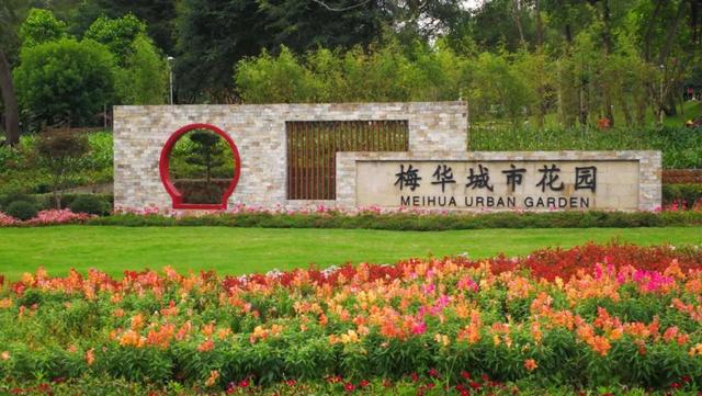 珠海有什么地方适合露营，假期第二天，你在珠海露营了吗
