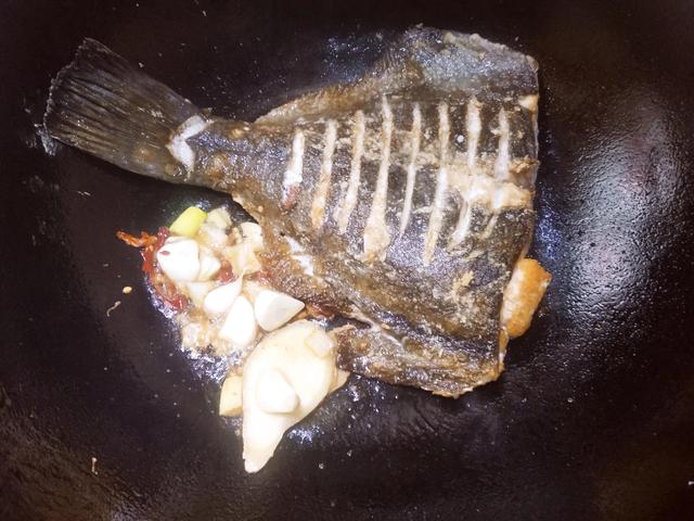 20种常见的海鱼，40种“好吃不贵”的野生海鱼