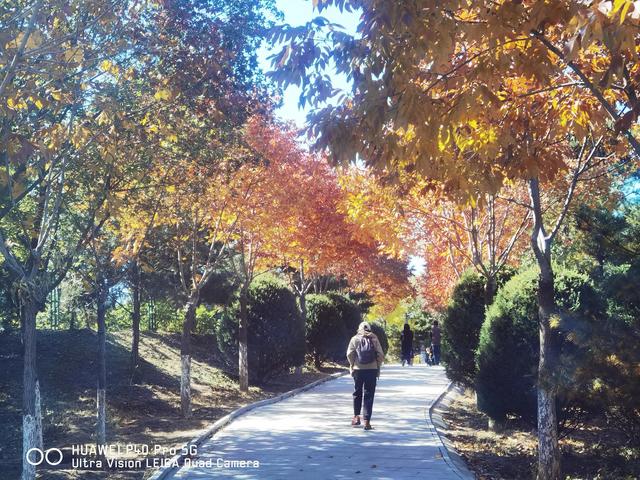 北宫国家森林公园景点介绍，北宫国家森林公园游记