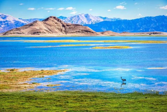 川藏线三色湖，带你走进世界上最偏心的湖