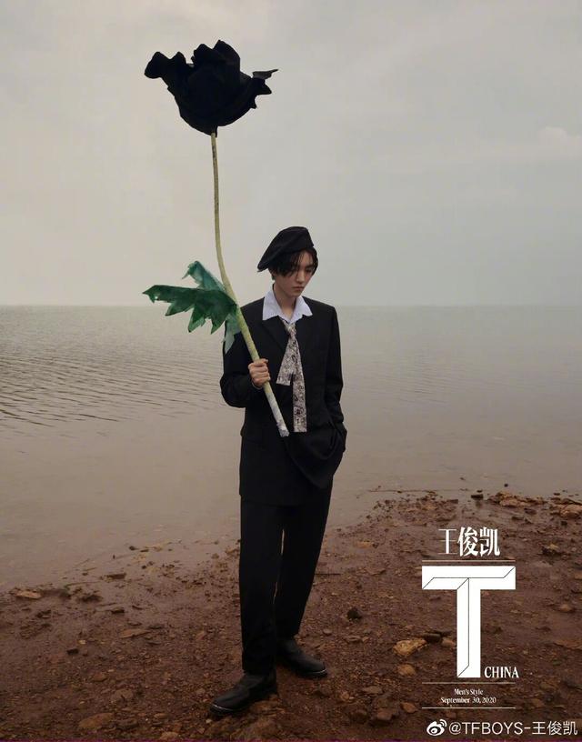 养成系什么意思，什么叫养成系（文艺辣评丨“养成系”成“育儿系”）