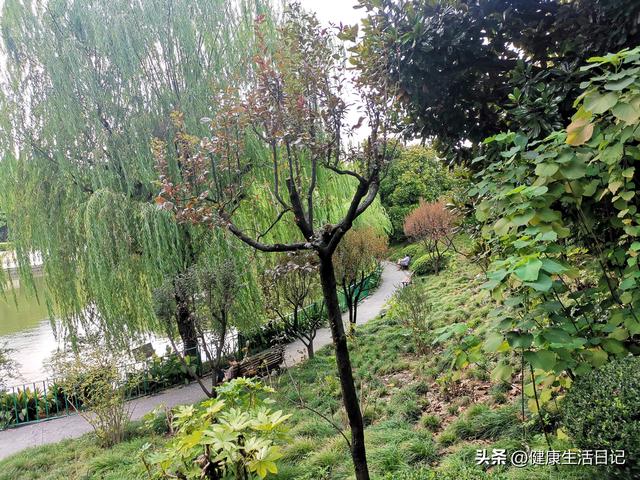 上海最值得徒步的路线，徒步上海普陀区甘泉公园