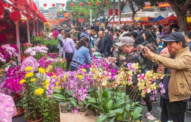 广东舞狮过年，都是“硬核”年俗