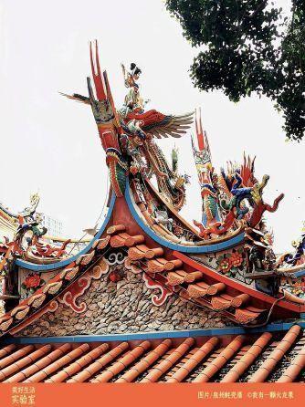 福建珍珠蚝跟鲜活生蚝的区别，舌尖福建漳州