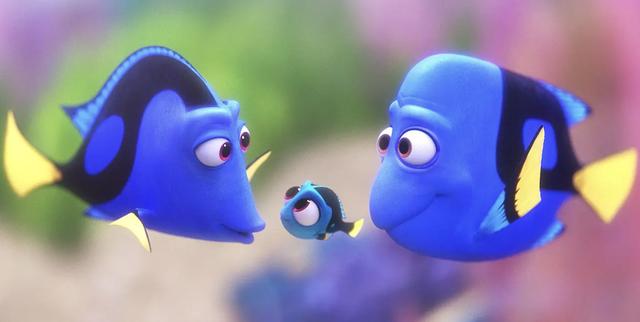 海缸新手教程，海缸入门介绍