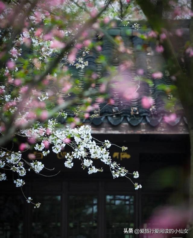 杭州有哪些必游景点免费，最能代表杭州的17个精华景点