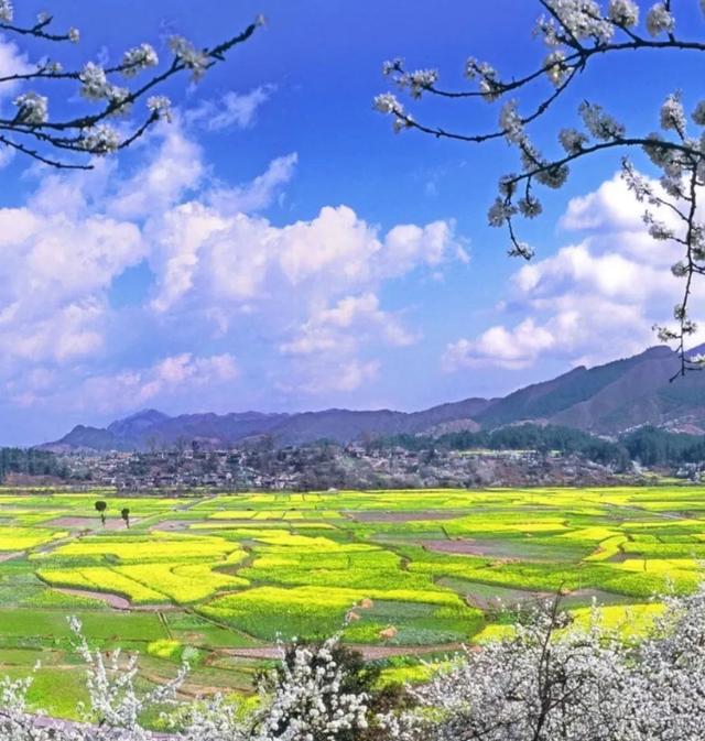 春天最适合旅行的地方，我在这3个地体验到了