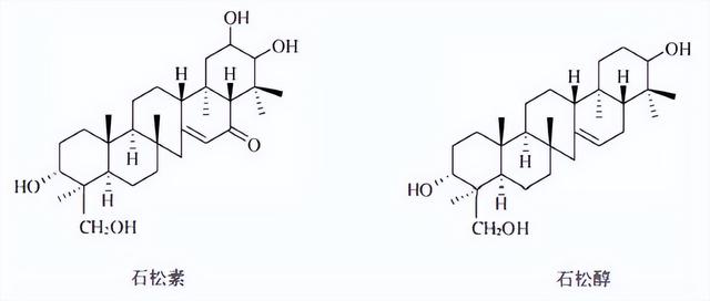 萜类的作用及功能，植物功效成分-三萜及其苷类