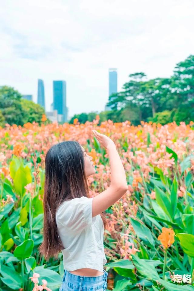 附近看花的地方，深圳最适合去赏花的地方（2023西安及周边赏樱花的地点大全）