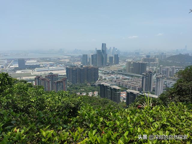 深圳不起眼的山峰，深圳这十座不知名山峰